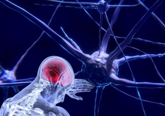 UNESCO aprova primeira recomendação global sobre uso ético da neurotecnologia
