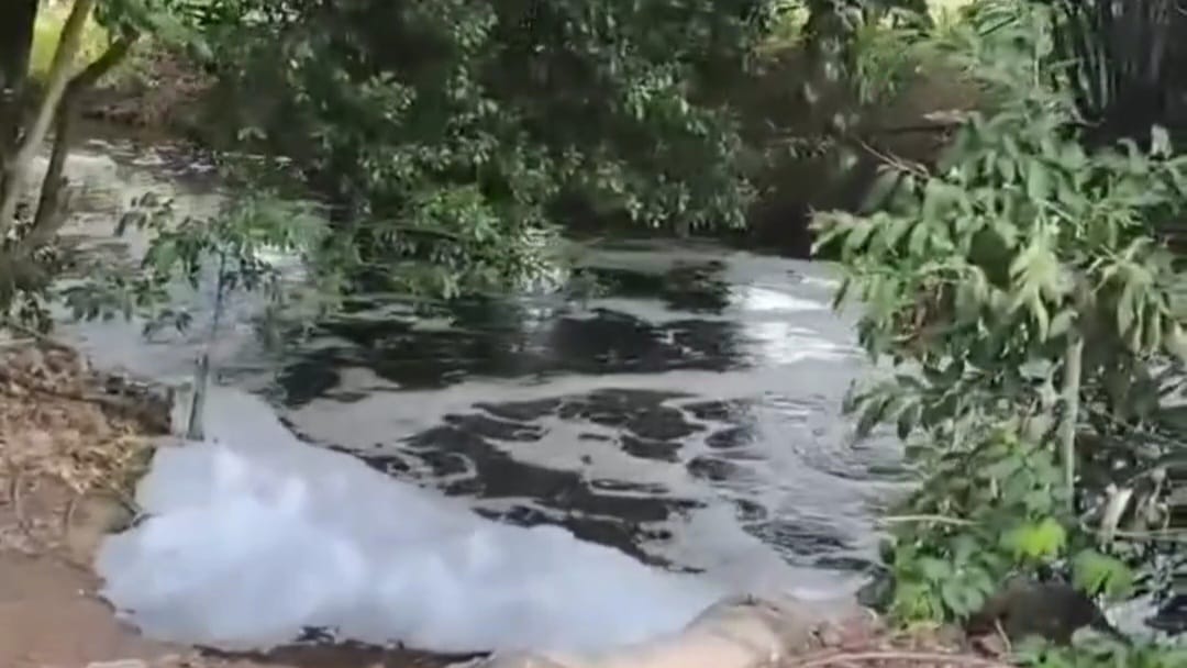 (foto: reprodução/instagram/@movimentoesgotei)