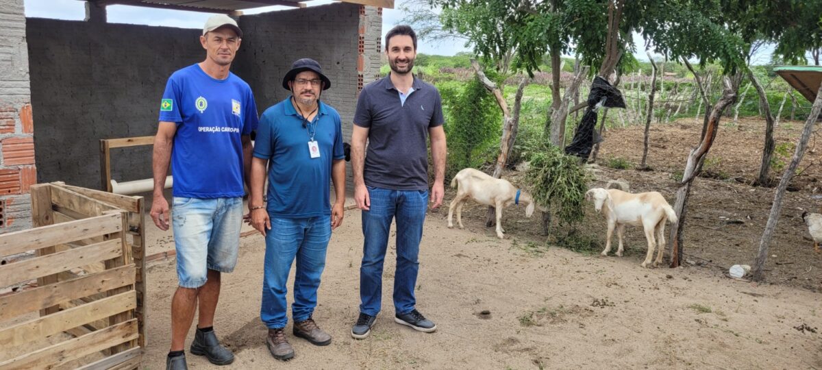 Projetos de transição energética sustentável na Paraíba são apresentados na COP30 Projetos de transição energética sustentável na Paraíba são apresentados na COP30