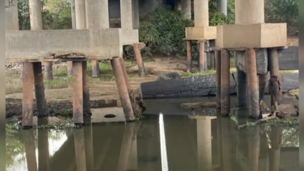 Popular denunciou possível riscos em ponte sobre o rio Mamanguape,na BR-101 (foto: reprodução/redes sociais)
