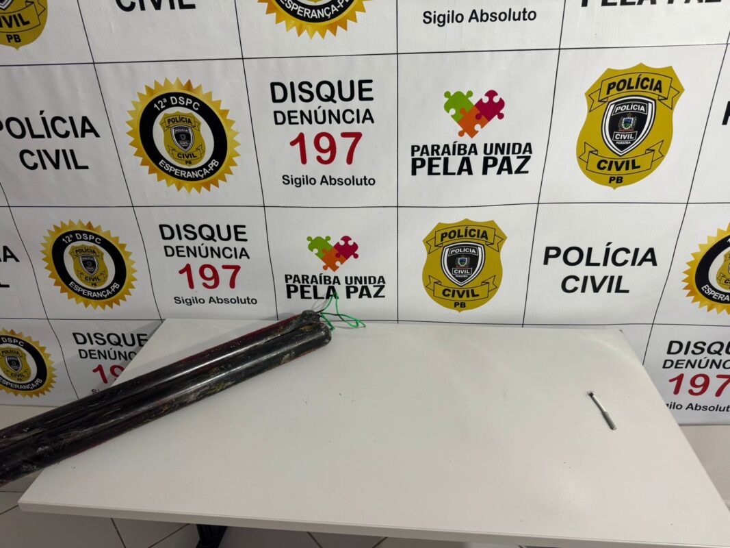 (foto: divulgação/Polícia Civil)