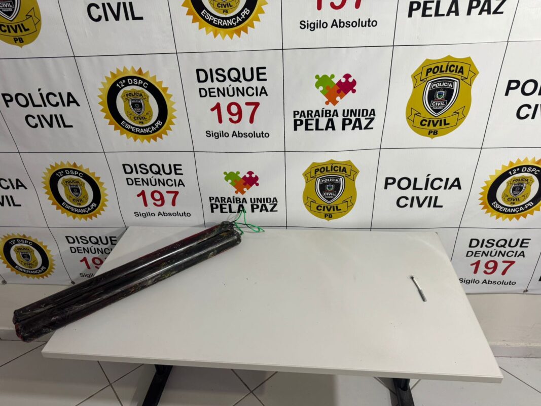(foto: divulgação/Polícia Civil)