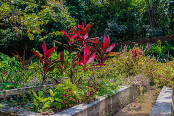 Jardim Botânico