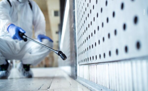 Operação DDT: ex-presidente da Comissão de Licitação de Conde é condenado a 4 anos de prisão por fraude