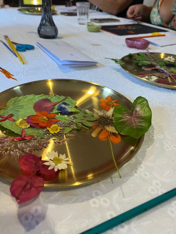 Flores e folhas após processo de secagem, matéria-prima para arte botânica. Foto: Camila Bezerra/ClickPB