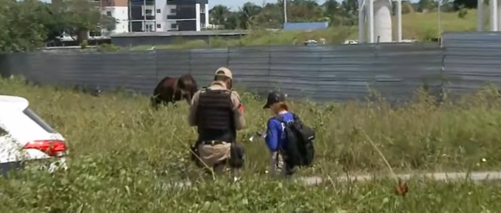 Cabeça humana é arremessada de carro com criminosos armados em João Pessoa