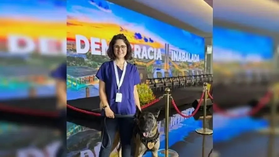 Morre veterinária atacada por cão do Senado Federal, em Brasília