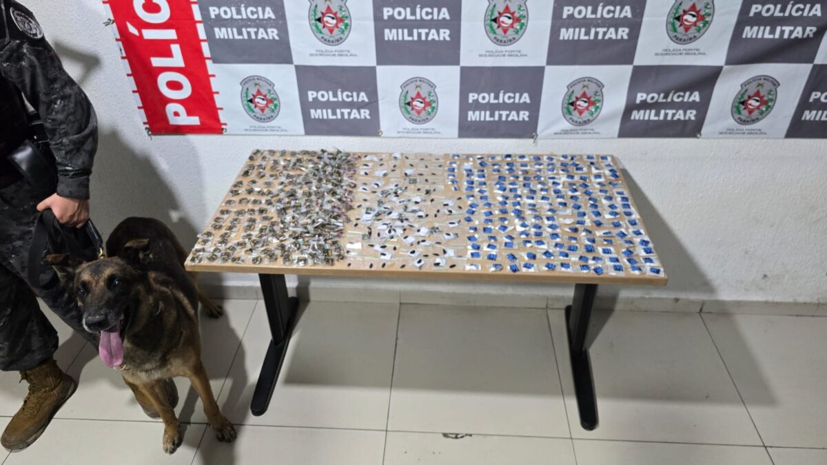 Cadela farejadora encontra mais de 500 porções de drogas em João Pessoa