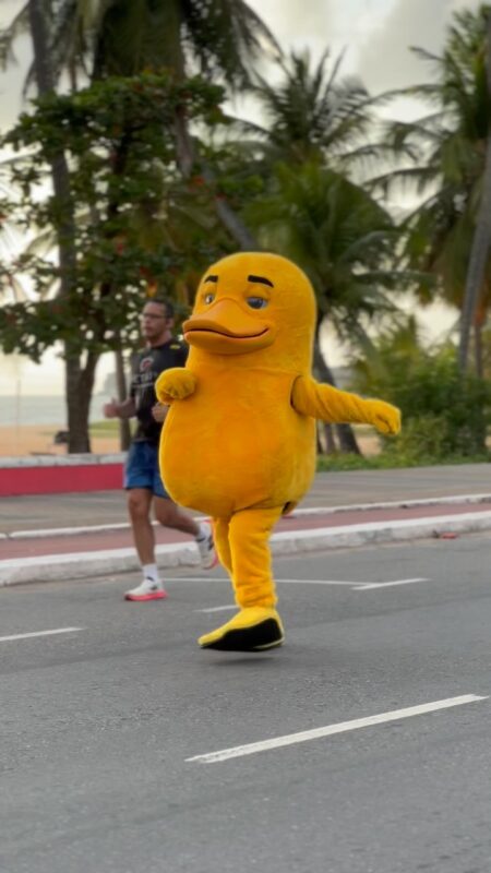 Pato amarelo misterioso é visto pelas ruas de João Pessoa e chama atenção de populares