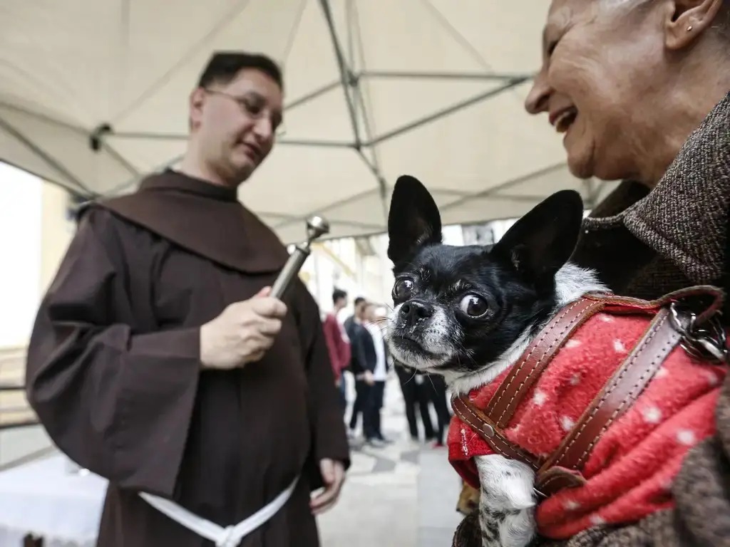 Igrejas celebram São Francisco de Assis com bênção de animais e missas sábado e domingo, na Paraíba