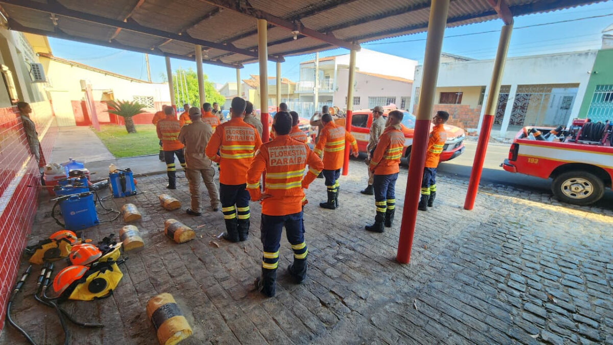 Bombeiros entram no 4º dia de combate a incêndio que já destruiu 800 hectares no Sertão da Paraíba