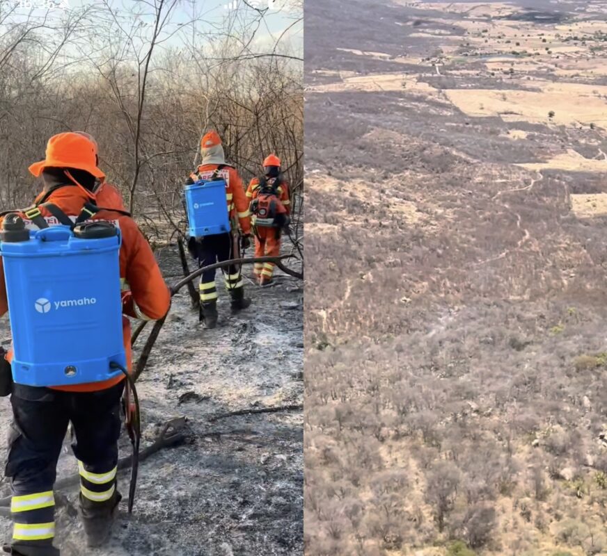 Bombeiros encerram força-tarefa após controlar incêndio florestal na serra de Lagoa